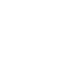 Casino Flamingo
